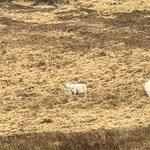 Photo taken by Marcy B