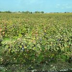 Photo taken by Charles H