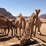 Photo taken by Nicola H