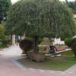 Photo taken by Peter J