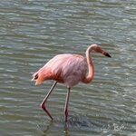 Photo taken by Sharon J