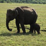 Photo taken by Wendy T