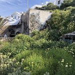 Photo taken by Liz S