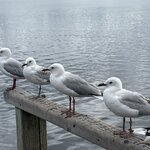 Photo taken by Lori V