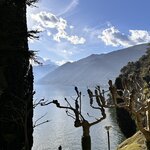 Photo taken by Lisa H