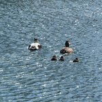 Photo taken by Dawn S