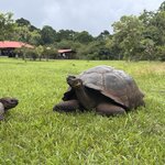 Photo taken by Ben S