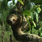 Photo taken by Angel V