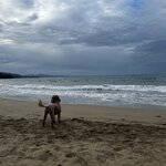 Photo taken by Tiphanny C