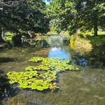 Photo taken by Ayesha A