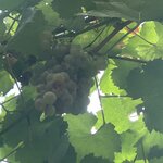 Photo taken by Stephanie K