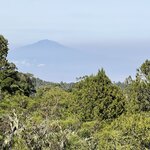 Photo taken by Michael L