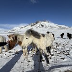 Photo taken by Laurel W