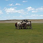 Photo taken by Kathleen L