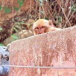 Photo taken by Patricia O