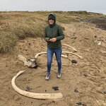 Photo taken by Jon P