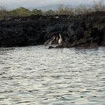 Photo taken by Gary W