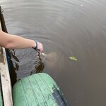 Photo taken by Stephanie S