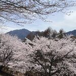 Photo taken by Marianne O