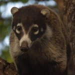 Photo taken by Wilbert A