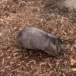 Photo taken by Julie H