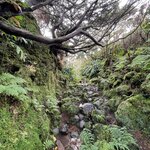 Photo taken by Isabela V