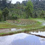 Photo taken by Laurence S