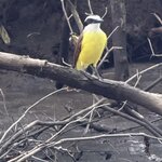 Photo taken by Morton A