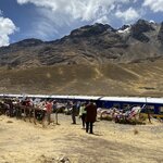 Photo taken by Terje R