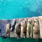 Photo taken by Katarzyna W