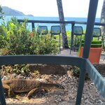 Photo taken by Kaitlin J