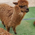 Photo taken by Nancy L