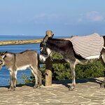 Photo taken by N.J. P