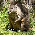 Photo taken by Jennifer H