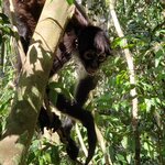 Photo taken by Elena R