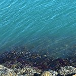 Reykjavik 1.08.2018 | Photo taken by Eneken M