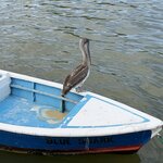 Photo taken by Sharon J