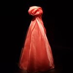 Photo taken by Amy C