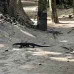 Photo taken by Edit M