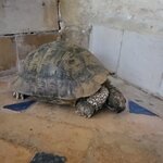 Photo taken by Hayley B