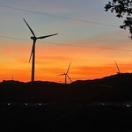 Photo taken by Cara D