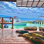 Photo taken by Katherine A