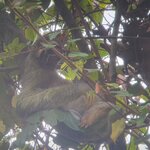 Photo taken by Darcy M