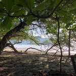 Photo taken by Anna A