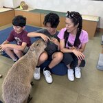 Photo taken by Andrea C