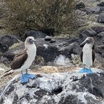 Photo taken by Jennifer A