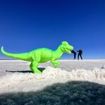 Photo taken by Mai S