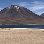 High Desert in Atacama Desert | Photo taken by Melody B