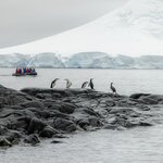 Photo taken by SANDRA V