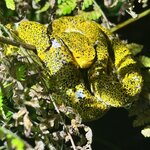 Photo taken by Jim W